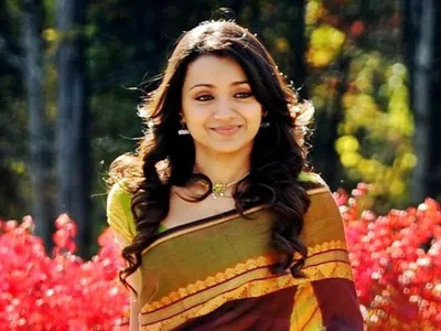 trisha answers about politics entry rumours
