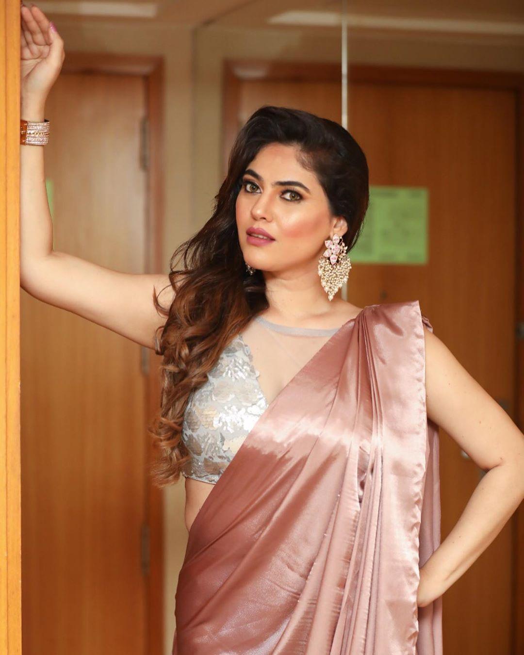 Sherin shringar latest navel show photos in saree