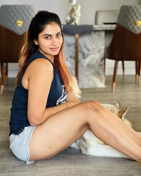 Shivani narayanan hot photos showing thighs in short trouser