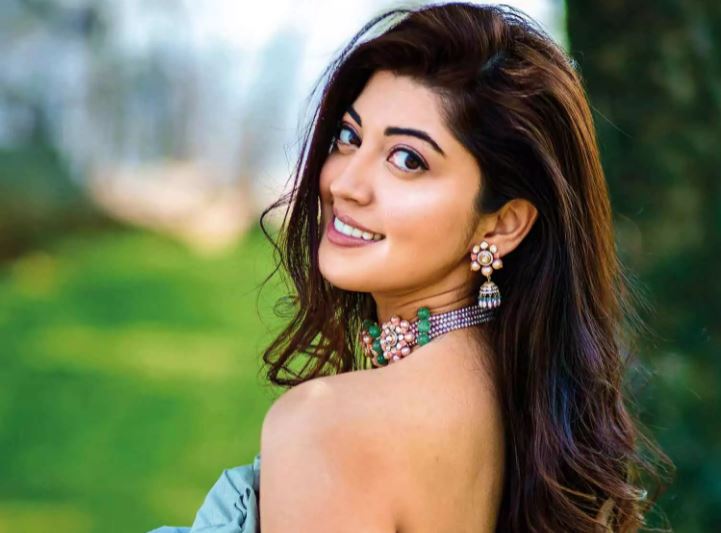 Actress pranitha got commentable for her recent posted photos on poojai