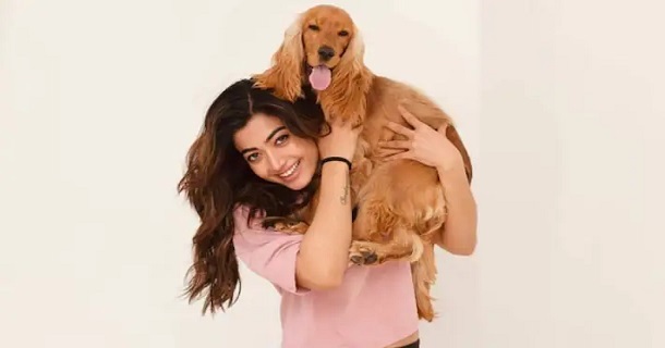 Rashmika clears about rumour about her dog on shooting