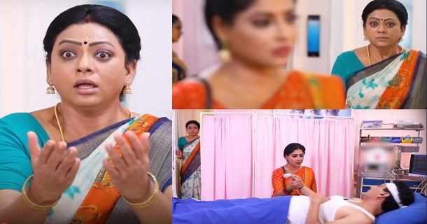 Baakiyalakshmi satheesh kumar gopi posts video about serial episodes